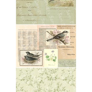 May include: A collage of vintage ephemera featuring bird illustrations, botanical prints, and floral patterns. The design includes text elements such as "Ann&eacute;e 1859" and "Bird Notes" in a soft, muted color palette.
