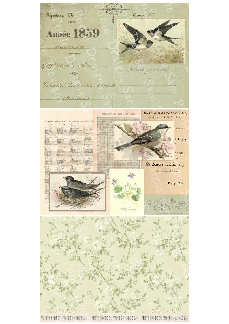 May include: A collage of vintage ephemera featuring bird illustrations, botanical prints, and floral patterns. The design includes text elements such as "Ann&eacute;e 1859" and "Bird Notes" in a soft, muted color palette.