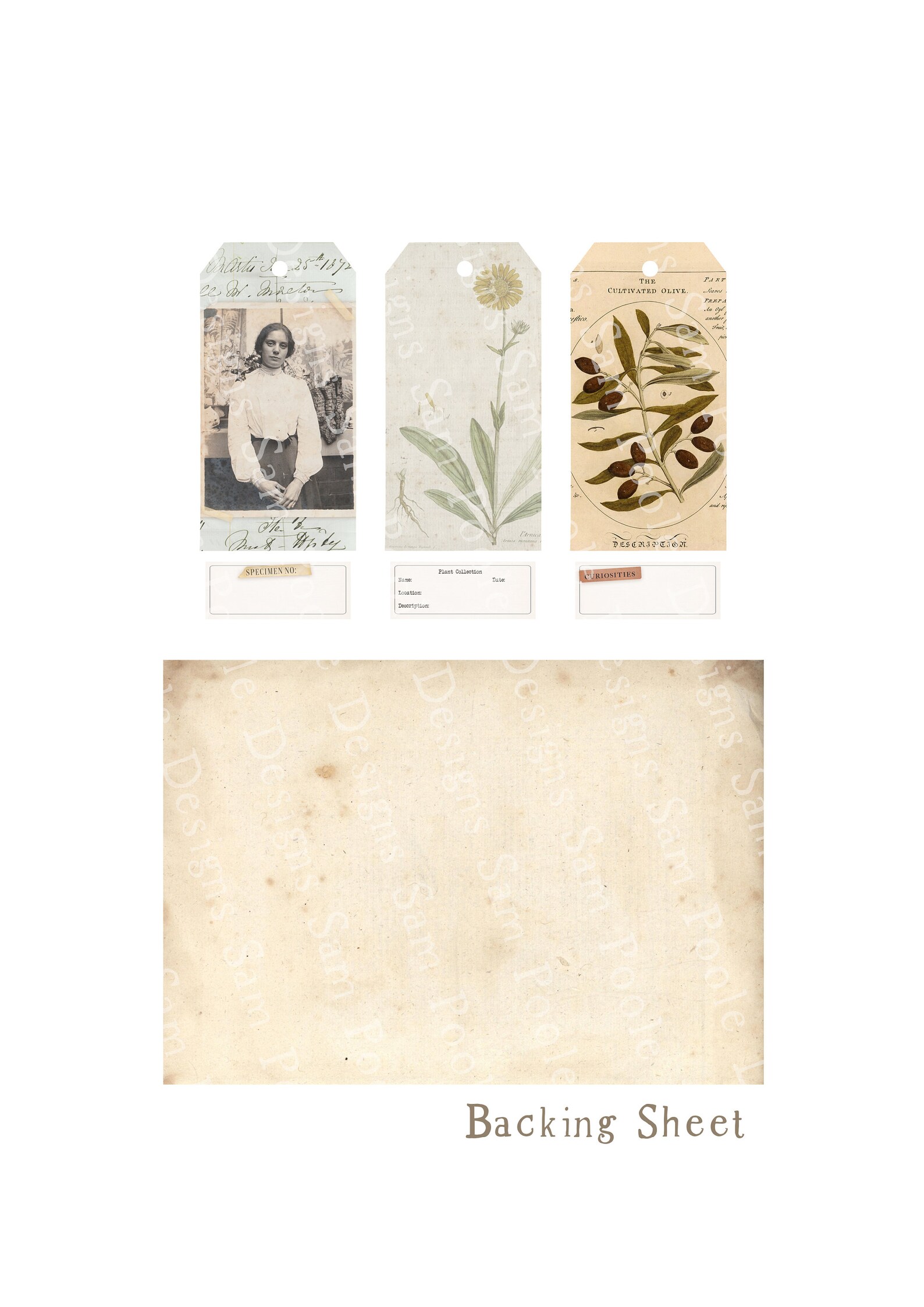 Botanist Tags & Labels Vintage Junk Journal A4 Paper Collection ...