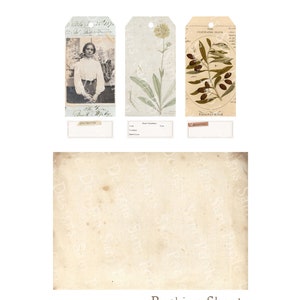 Botanist Tags & Labels Vintage Junk Journal A4 Paper Collection ...