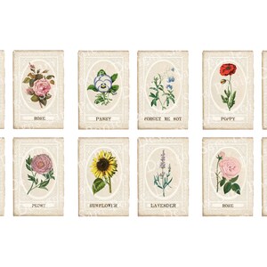May include: Vintage style floral cards with illustrations of various flowers, including a daisy, rose, poppy, pansy, and sunflower. Each card has a white border and a floral design on a beige background. The names of the flowers are printed below each illustration.