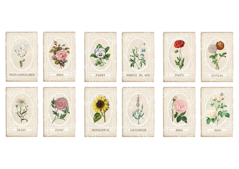 May include: Vintage style floral cards with illustrations of various flowers, including a daisy, rose, poppy, pansy, and sunflower. Each card has a white border and a floral design on a beige background. The names of the flowers are printed below each illustration.