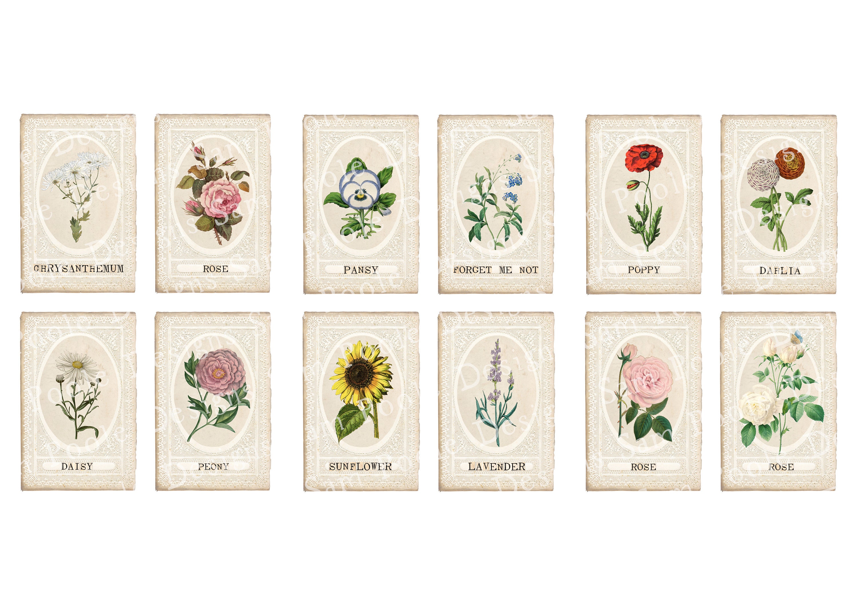 Floral Cards Vintage Junk Journal A4 Paper Collection Etsy Australia