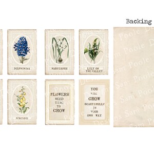 May include: A printable sheet of vintage-style flower cards with illustrations and text. The cards feature names like Buttercup, Delphinium, Narcissus, Lily of the Valley, Aster, and Foxglove. One card says "Flowers need time to grow." Another card says "You will grow beautifully in your own way."