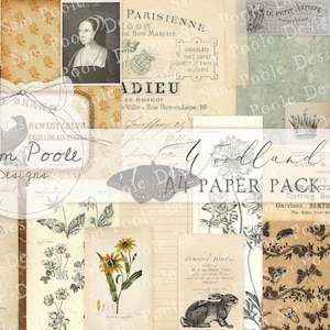 Vintage Floral Journal Paper Pack - 7074