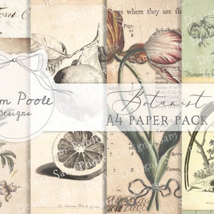 Botanist Vintage Junk Journal A4 Paper Collection - Digital Download - Vintage Papers - Printables for Journaling and Art