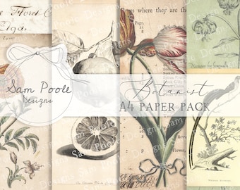 Botanist Vintage Junk Journal A4 Paper Collection - Digital Download - Vintage Papers - Printables for Journaling and Art