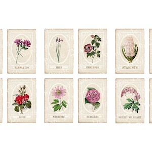 May include: Vintage botanical illustrations of 12 different flowers, each with its name printed below. The flowers are depicted in a realistic style with delicate details and vibrant colors. The illustrations are set against a cream-colored background with a decorative border.