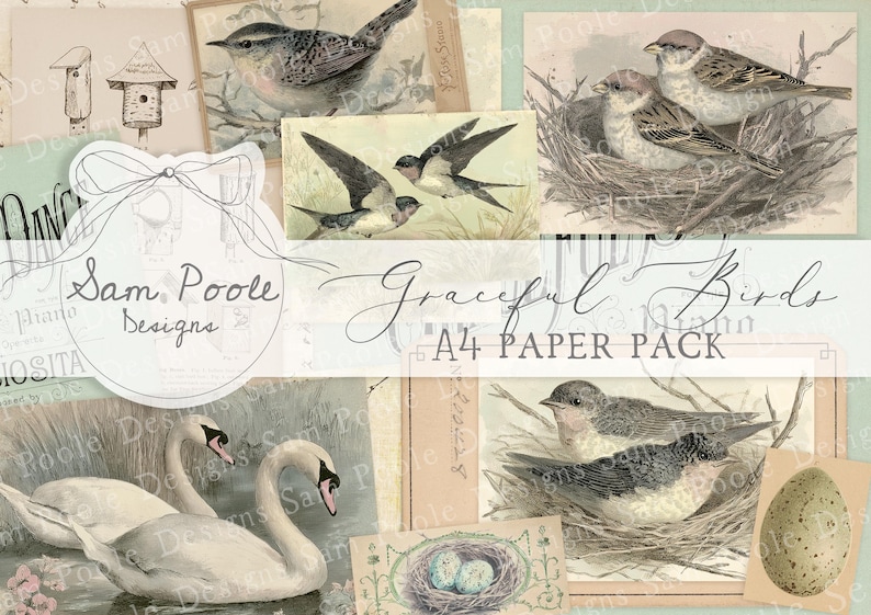 May include: A collage of vintage bird illustrations, including sparrows in a nest, swallows in flight, and swans. The text "Graceful Birds A4 Paper Pack" is displayed. The design features a soft, muted color palette.