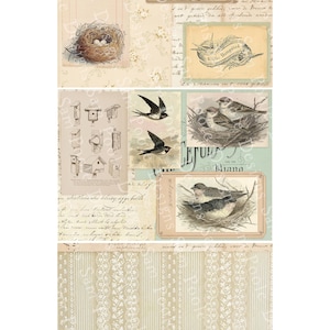 May include: A collage of vintage-style illustrations featuring birds, nests, and birdhouses. The images are set against a backdrop of aged paper with handwritten script and floral patterns. The color palette is soft, with beige, brown, and touches of blue.