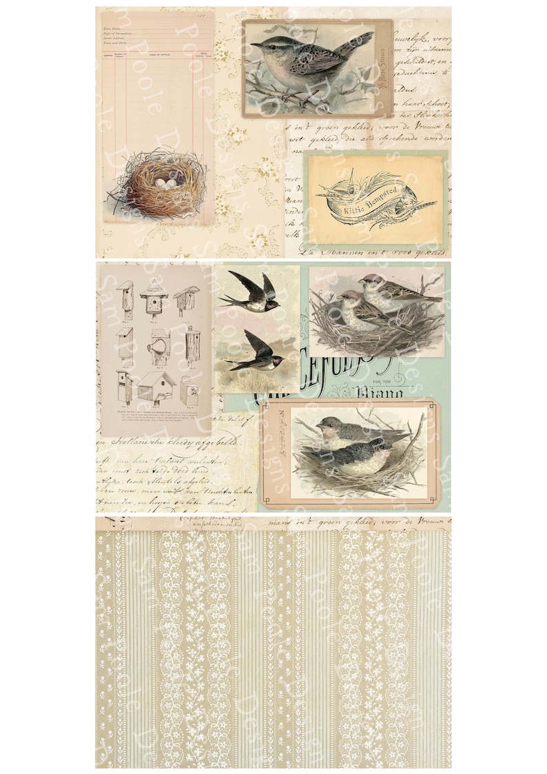 May include: A collage of vintage-style illustrations featuring birds, nests, and birdhouses. The images are set against a backdrop of aged paper with handwritten script and floral patterns. The color palette is soft, with beige, brown, and touches of blue.