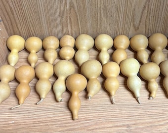 Mini Gourd for Rattle