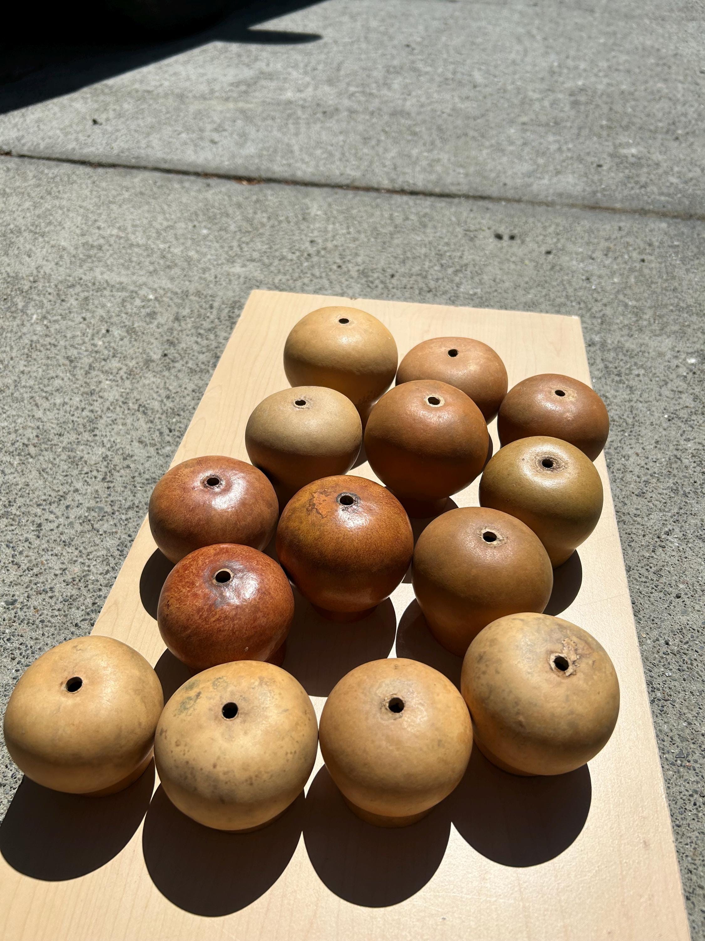 Coconut Rattle Shells Gourd Shells for Rattles - Etsy