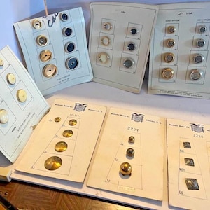 Button Co Salesman-voorbeeldkaarten gemengd MOD
