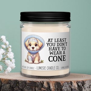 Get Well Soon At least You Don&#39;t Have To Wear Cone Candle, Funny Gift, Funny Candle, Get Well Gift, Get Well Candle, Warrior Gift, Cancer