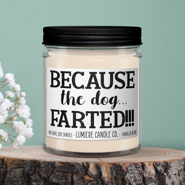 Because the Dog Farted Scented Candle l Pet Candle l Dog Lover Gift l Gift For Dog Owner l Odour Eliminator Candle l Dog Deodorant