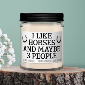 I like Horses And Maybe 3 People personalized candle, Equestrian Candle, Horse Candle, Gifts for Horse Lovers, Equine Candle, Horse Lover