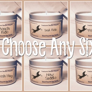 May include: Six silver-colored candle tins with labels featuring a horse silhouette and various scent names: Beach Ride, Trail Ride, Peppermint, Fresh Hay, New Saddle, and Cedar Shavings. The text "Choose Any Six" is also present.