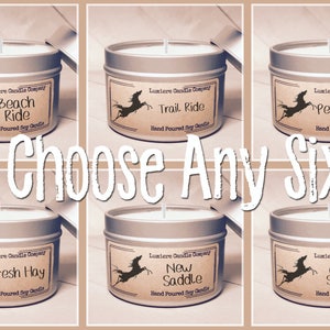 PICK ANY 6 Equestrian Themed Soy Candle Tins, Equestrian Collection Horse Lover, Equestrian Gift, Equestrian Candle, Horse Candle zdjęcie 1