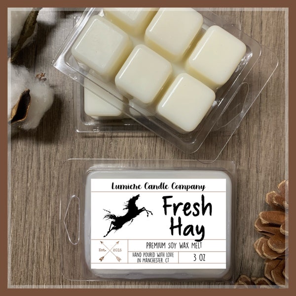 FRESH HAY  Equestrian Themed Soy Wax Melt Clamshell, Gifts for Horse Lovers, Horse Candles, Equestrian Gifts, Horse Crazy,