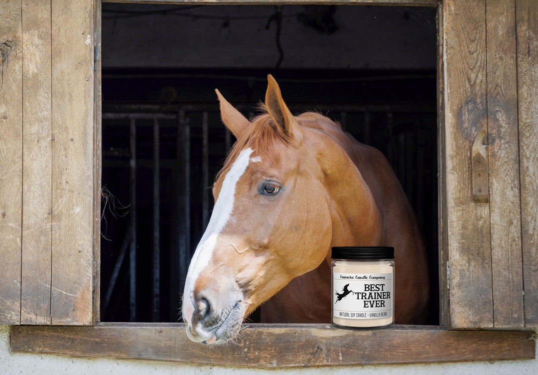 Best Trainer Ever Candle, Equestrian Candle, Horse Candle, Gifts for Horse Lovers, Equine Candle