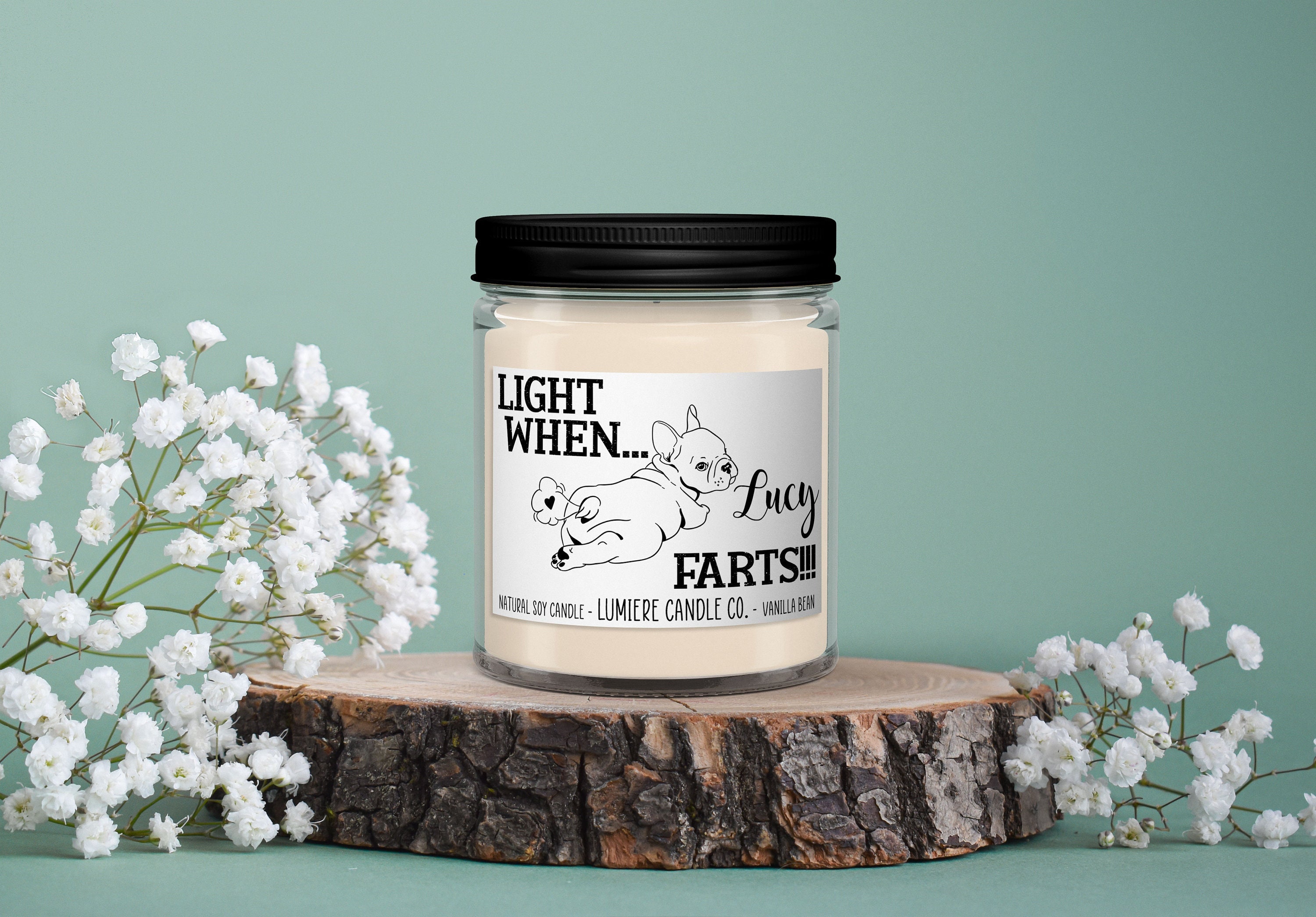 Because my Frenchie Farted, French Bulldog Gifts, French Bulldog Mom, Funny Frenchie Gift, French Bulldog Candle, French Bulldog Lover