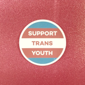 Puede incluir: Una pegatina redonda con el texto "SUPPORT TRANS YOUTH" en blanco, sobre un fondo azul claro, blanco y melocotón. La pegatina está sobre una superficie rosa brillante.