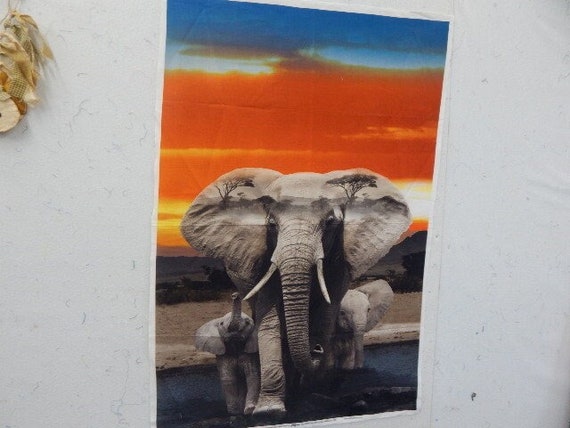 Elephant Panel 36 x45
