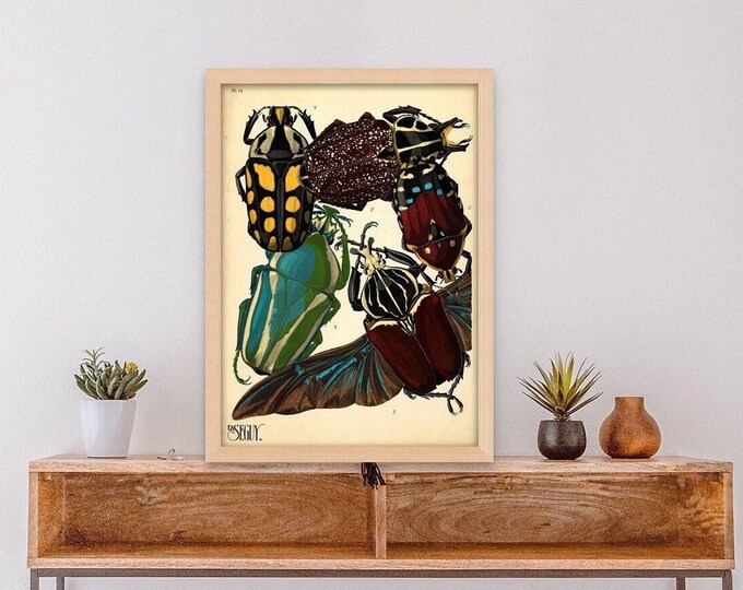 Premium Quality Poster: Wall Art Vintage Beetle Insect Print Insect Prints Botanical Wall Art Vintage Insects Botanical Decor