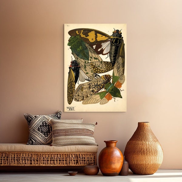 Vintage Cicadas Print - Insect Poster Botanical Decor Insect Wall Art Vintage Insect Wall Art Gift Idea