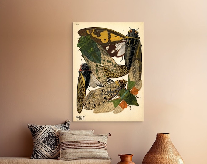 Premium Quality Poster: Wall Art Vintage Cicadas Print Insect Poster Botanical Decor Insect Wall Art Vintage Insect Wall Art