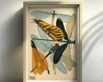 Impression scientifique vintage d'insectes - Poster d'insectes, décoration d'intérieur, Illustrations Larousse, Idée cadeau - Impressions de salon, Art mural