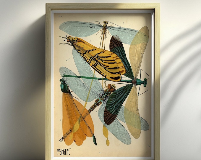 Premium Quality Poster: Wall Art Insects Vintage Science Print Insect Poster Larousse Illustrations Wall Art