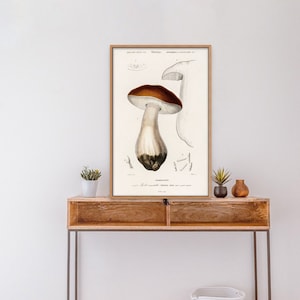 Impression scientifique champignon XIXe siècle Penny Bun champignon affiche impression botanique champignon impression botanique mur art déco champignon vintage image 1