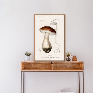 Stampa botanica di funghi Penny Bun del XIX secolo, decorazione murale vintage a forma di fungo
