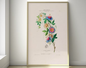 Vintage Botanical Print -Passflora Poster 19th Century Passion Flower Poster Botanical Wall Art Housewarming Gift Wall Art