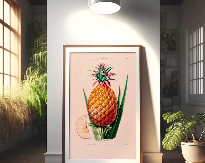 Vintage Ananas Botanical Art Print  Premium Quality Fruit Poster for Housewarming Decor