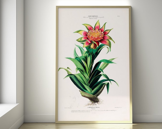Vintage Botanical Print - Vintage Flower 19th Century Antiqye Flower Poster Botanical Wall Art Housewarming Gift Wall Art