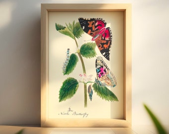 Vintage Butterfly Botanical Print -  Vintage Poster Botanical Illustration Butterfly Poster Gift Idea