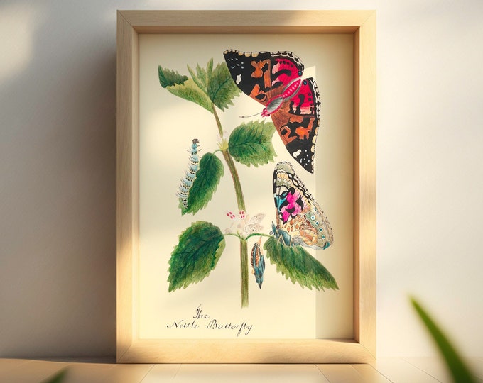 Vintage Butterfly Botanical Wall Art Print - Nature Lover Gift Idea
