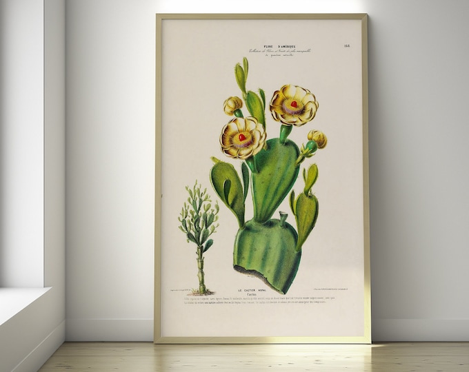 Cactus Kitchen Poster  Cactus Print Wall Art  Botanical Home Decor