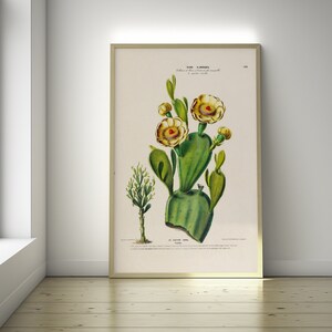 Kaktus Küche Poster Kaktus Druck Wand Kunst Botanische Wohnkultur