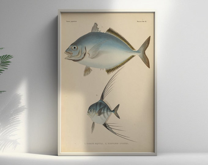 Fauna Japonica Poster 19th Century Japanese Botanical Wall Art Premium Quality Fish Design