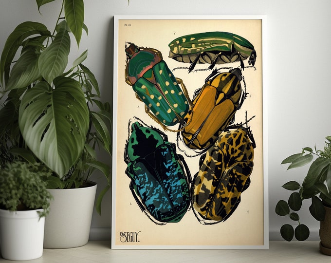 Vintage Diamond Beetle Wall Art Poster  Premium Botanical Insect Print