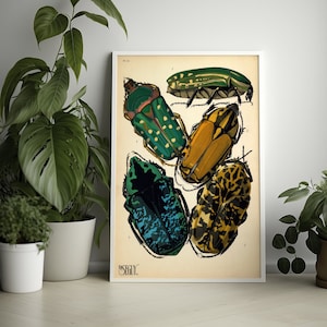 Vintage Diamond Beetle Wall Art Poster Premium Botanischer Insektendruck