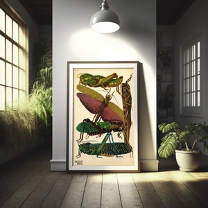 Póster de calidad superior: arte mural con insectos, impresión vintage de saltamontes, póster de insectos, ilustraciones de Larousse, arte mural