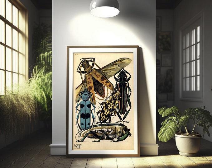 Vintage Longhorn Beetle Print Poster  19th Century Botanical Wall Art  Premium Quality Decor