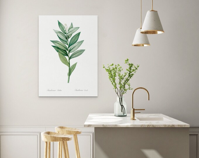 Vintage Botanical Print 1805 Smilacina Stellata Wall Art for Kitchen Decor