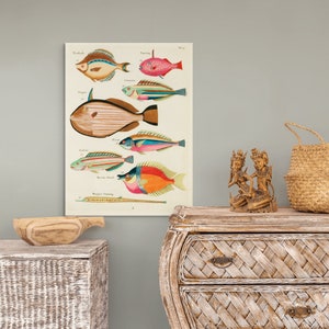 Póster vintage con estampado de peces, arte botánico de pared premium, decoración marina costera