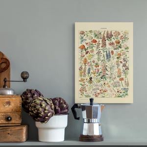 Póster de calidad superior: Impresión de flores vintage de 1909 Póster de Adolphe Millot Impresión botánica Impresión científica Póster de ciencia Arte de pared